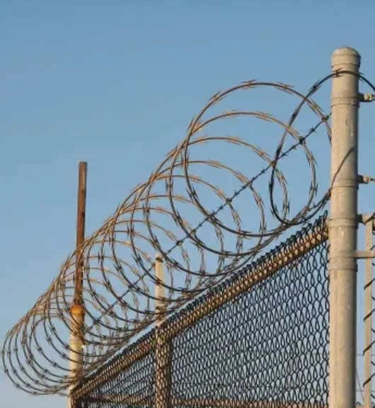 Galvanized Iron Concertina Coils