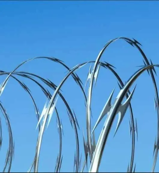 Razor Concertina Wire
