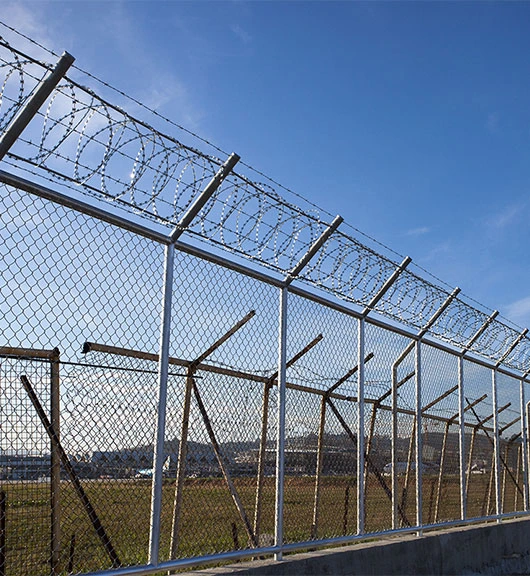 Security Fences
