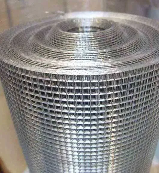 SS Wire Mesh